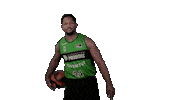 Playing Liga Endesa Sticker by ACB