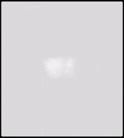Scout Syrax GIF