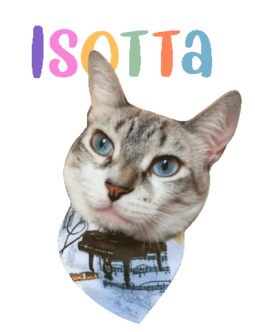 Cat Camillo Sticker