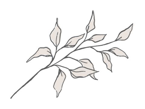 VarnishLane giphyupload pink leaf varnish lane a new lane to love Sticker