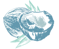 Pina Colada Coconut Sticker by Bare and Free