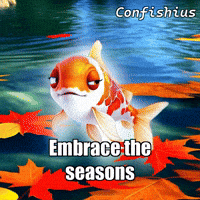 Autumn Glow GIF by TheConfishius