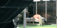 bbuk big brother reality tv cbb celebrity big brother GIF