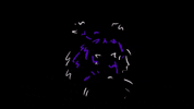 tiger roar GIF by Portugal. The Man