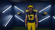 Go Blue College Football GIF by Michigan Athletics