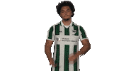 Preußen Münster Clapping Sticker by Bundesliga