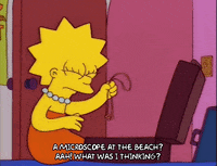 Lisa Simpson Episode 25 GIF by The Simpsons