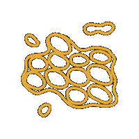 Ipaw Sticker by PPTA Global