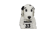 Dog Mascot Sticker by Providence Friars