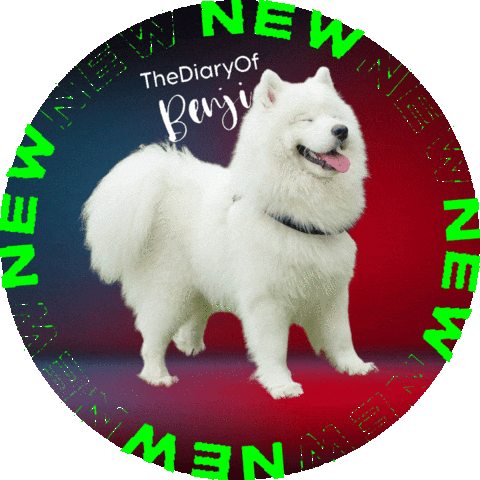 Logo Breaking Sticker