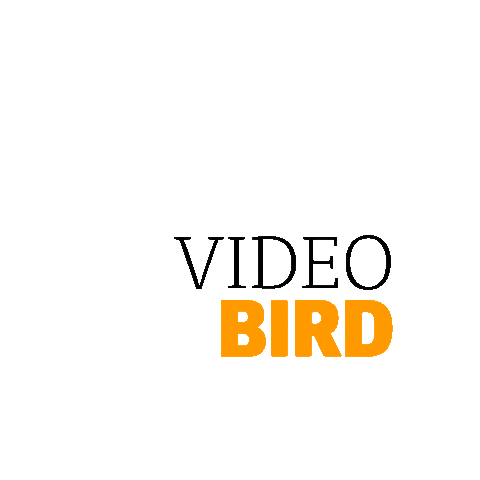 VideoBird giphyupload videobird videobird amsterdam Sticker