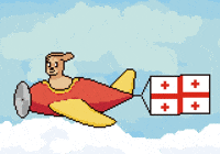 Flag Georgia GIF by Abstract HotDogs