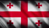 Trending Georgia GIF