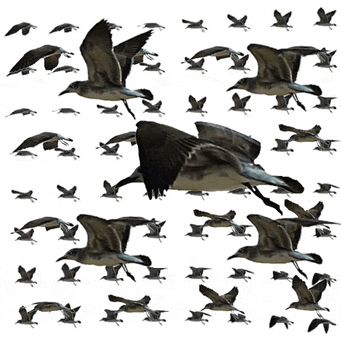 black and white looping GIF by weinventyou