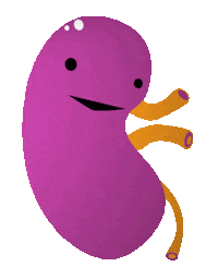 Feel Better Kidney Stones Sticker by I Heart Guts