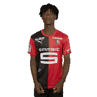 Rouge Et Noir Rennes Sticker by Stade Rennais F.C.