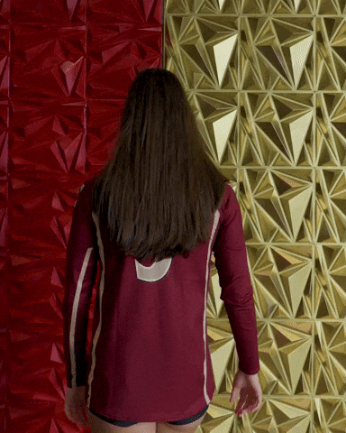 Elon Volleyball GIF by Elon Phoenix