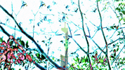 Art Design GIF by jorgemariozuleta