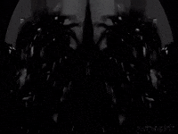 Contemporary Art Video GIF