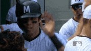 major league baseball sport GIF by MLB