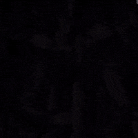 Global Examination GIF