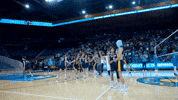 Will Uc Irvine GIF by UCI Athletics
