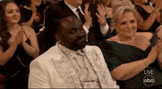Oscars GIF by The Academy Awards