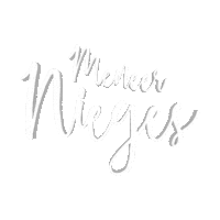 Amsterdam Cafe Sticker by Disco Dolly