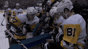 nhl sports sport hockey nhl GIF