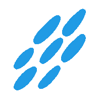 Flowers Leaf Sticker