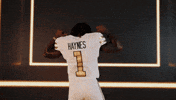 Georgia Tech Football Sport GIF by Georgia Tech Yellow Jackets