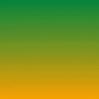 Digital art gif. Blue shape of Nevada slides in over a green and orange background. The text “Nevada Votes” appears as five stars shoot upward. An envelope stamped “By Mail” slides into frame.