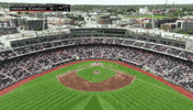 College Baseball GIF by NCAA Championships