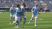 New York City Fc Celebration GIF by NYCFC