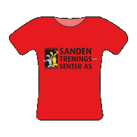 Sandengrafikk Sticker by Sanden Treningssenter