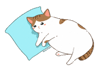 Kurumiau cat sad sleep gato Sticker