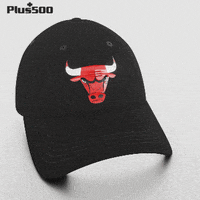 Plus500 nba cap chicago bulls bulls GIF