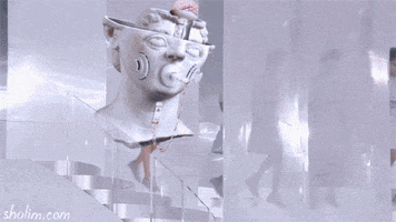 milos rajkovic GIF by Sholim