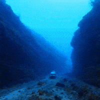 Visions Thegame23 GIF by Komplex