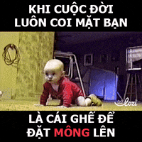 lozihn GIF by Lozi Singapore Co.