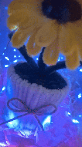 giphy.gif
