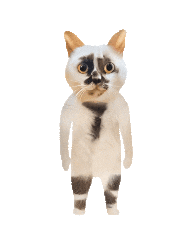 Muddycat Sticker