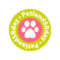 Cat Dog Sticker by Petland Brasil