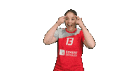 tbasvvolleyball volleyball damen1 tbasv tbasvregenstauf Sticker