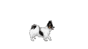 Mondou Sticker by Mondou_calin