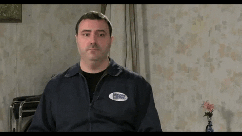 Edu_Cherryman giphygifmaker redlettermedia rlm mike stoklasa GIF