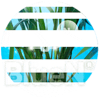 Bluen Sticker by Stoller Argentina