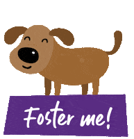 Foster Dog Pet Rescue Sticker by Kazoo Pet