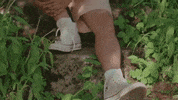 Nature Boy Honey GIF by Boy Pablo