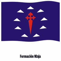 Flag Spain GIF by Formación Ninja